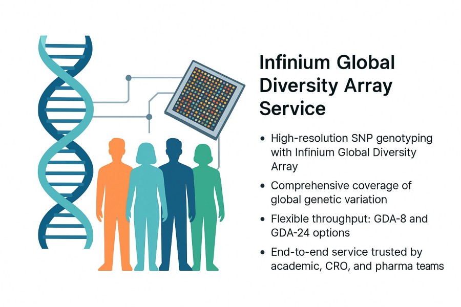 Infinium Global Diversity Array service illustration showing DNA helix, diverse populations, and SNP genotyping chip