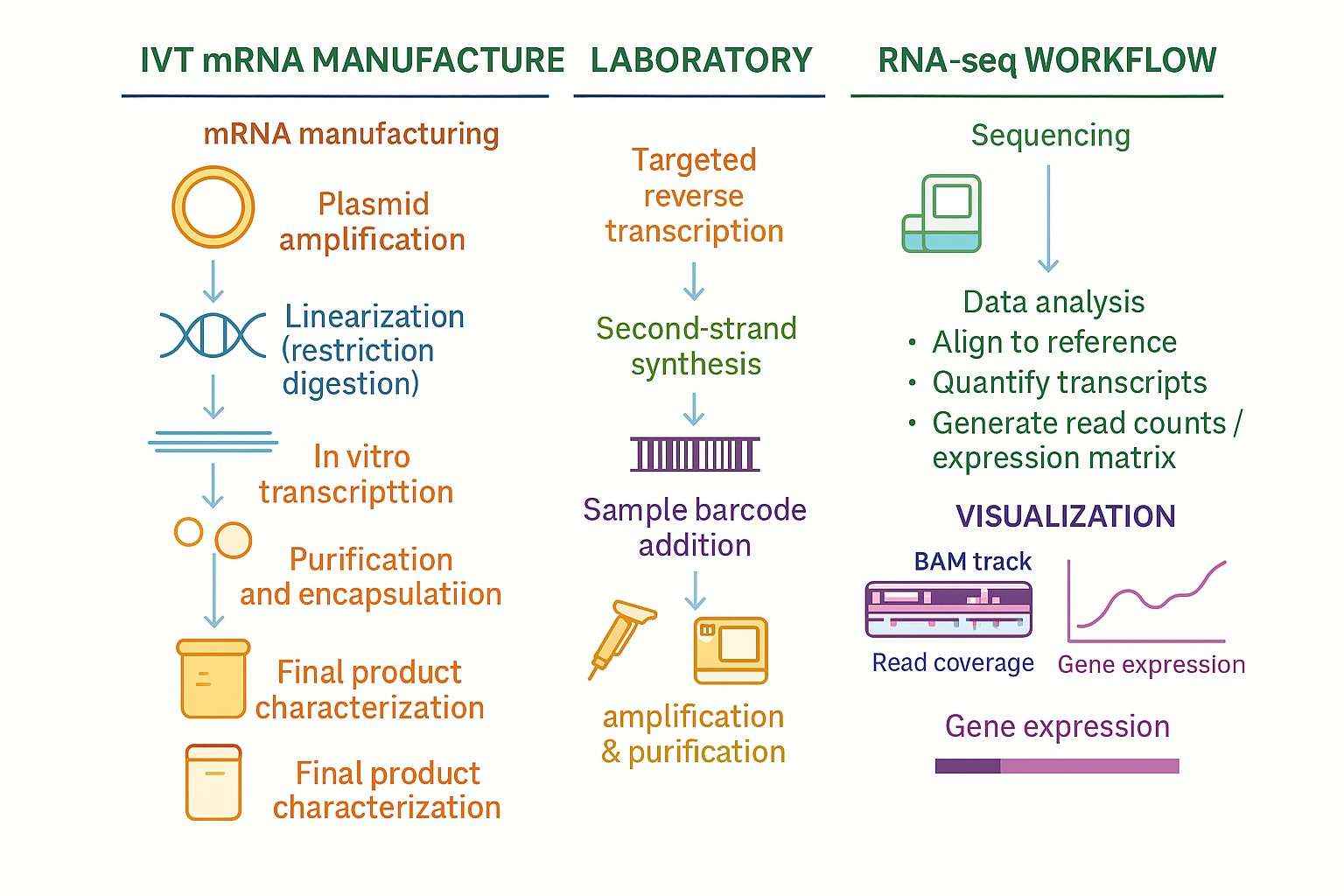 IVT mRNA Sequencing solution