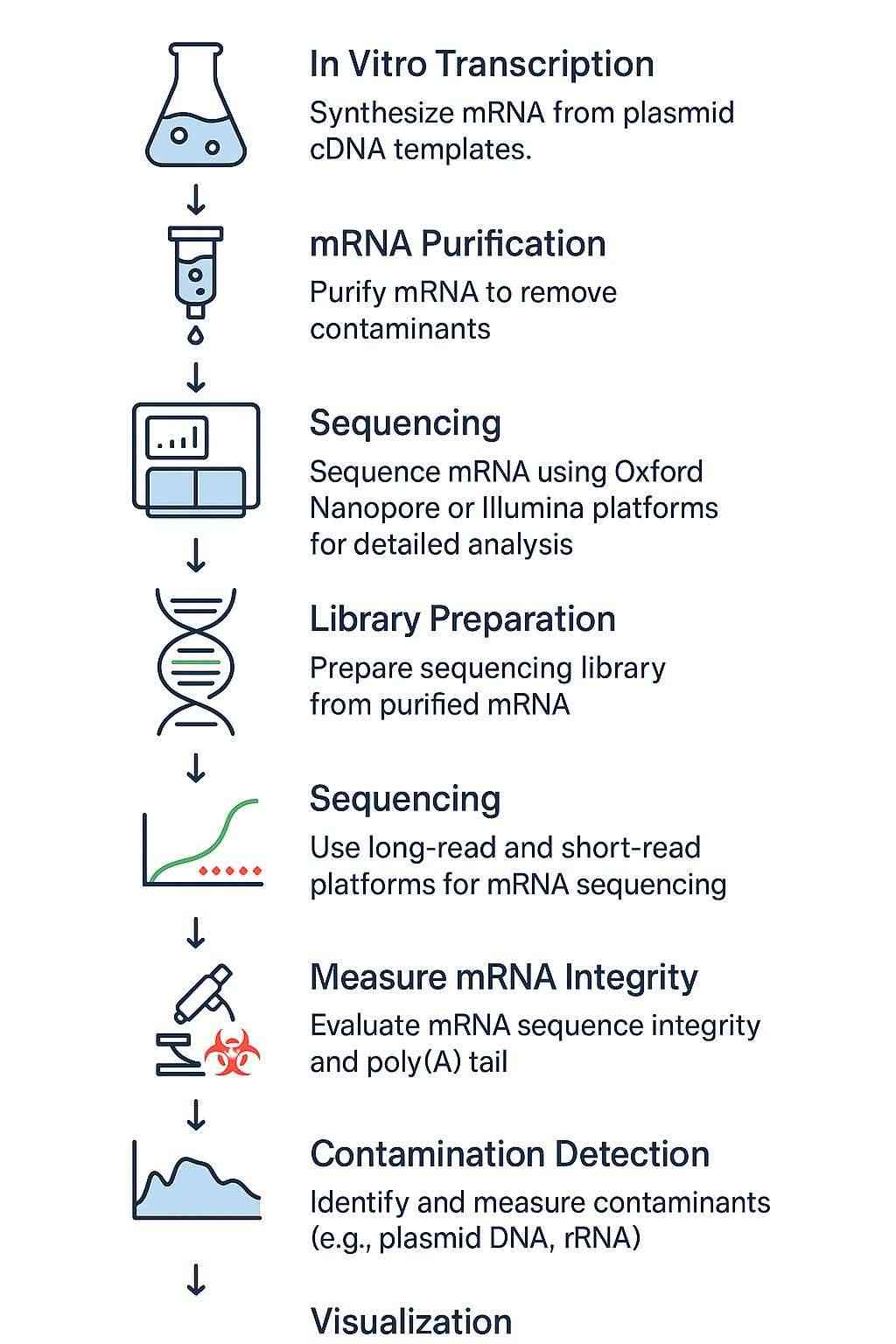 IVT mRNA Sequencing process