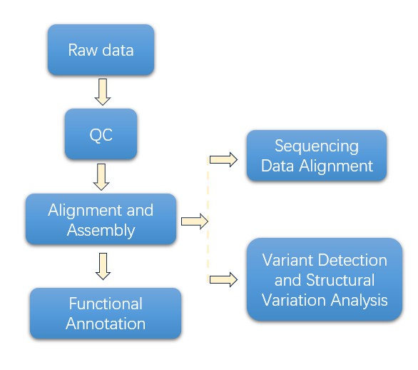 The Data Analysis Pipeline of Long Amplicon Analysis.