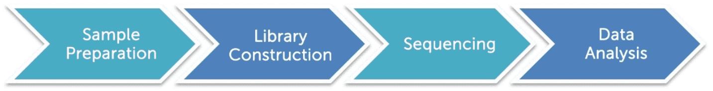 Workflow Diagram of Long-Read Sequencing.