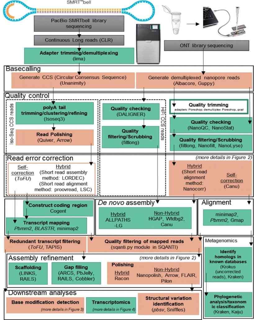 The Data Analysis Pipeline of Long-Read Sequencing. (Amarasinghe et al., 2020)