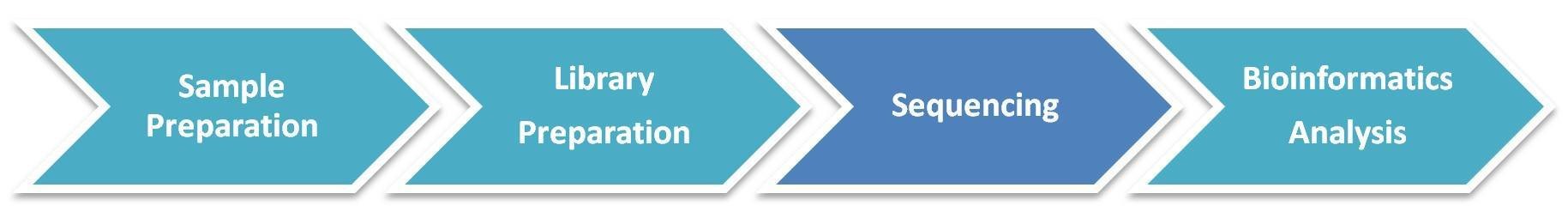 Workflow Diagram of MeDIP Sequencing.