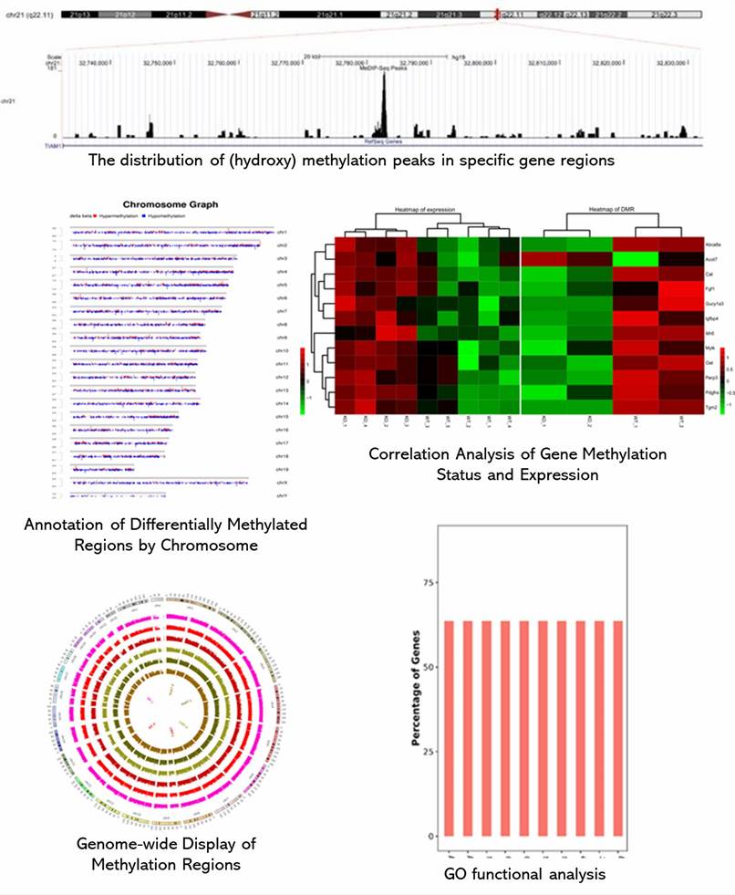 The MeDIP Sequencing Results Display Figure.