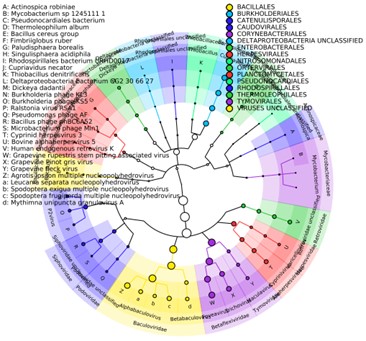 Merged abundance data for all samples.