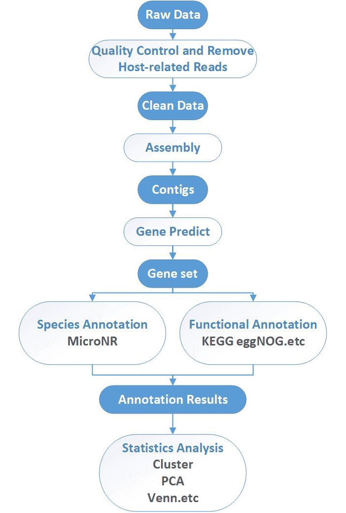 Shotgun Sequencing Bioinformatics workflow