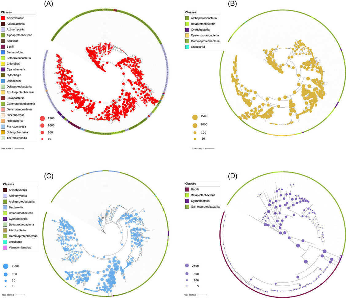 Figure 1. Phylogenetic positioning of predicted metagenomic proteins relative to reference sequences for each enzyme.