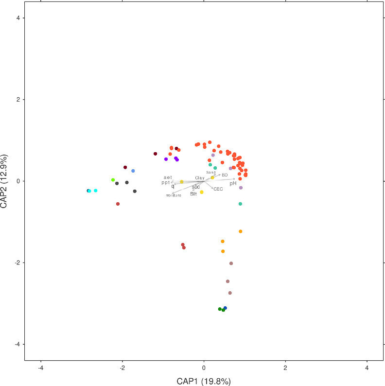 Figure 2. CAP analysis illustrating the relationship between phoD gene abundance and soil pH/SOC.
