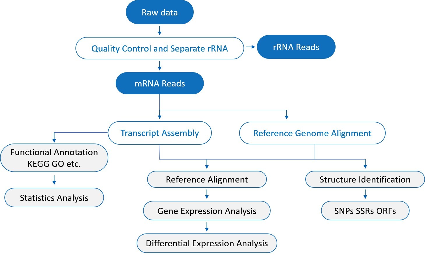 GBS Bioinformatics workflow