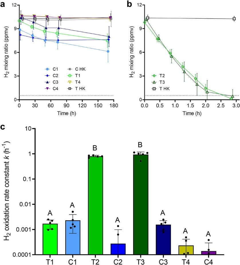 FIG 3 H2 oxidation by Australian  desert soil microcosm samples.