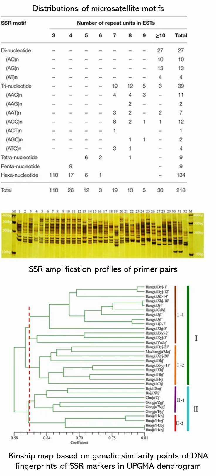 The Microsatellite Development Results Display Figure. (Feng et al., 2016)