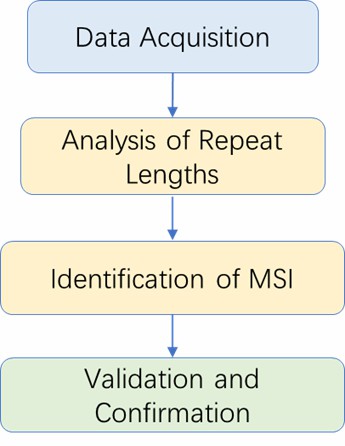 The Data Analysis Pipeline of Microsatellite Instability Analysis.