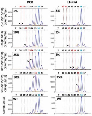 Figure 2. Enhancement of MSI detection limit using HT17 LT-RPA compared to PCR. (Daunay et al., 2019)