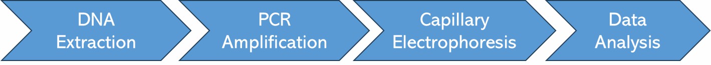 The Workflow of Microsatellite Instability Analysis.
