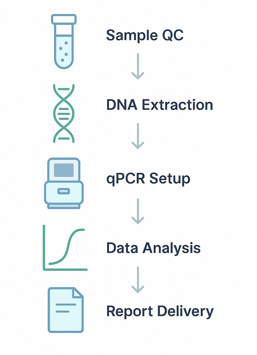Mitochondrial DNA Copy Number qPCR Workflow