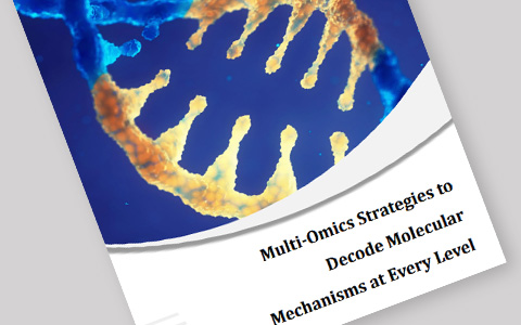 Multi-Omics Strategies to Decode Molecular Mechanisms at Every Level