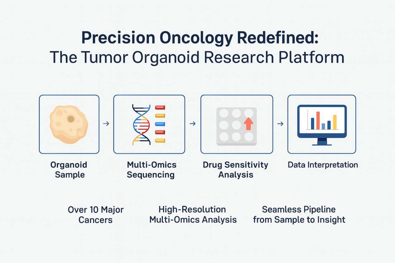 Organoid sequencing of tumour samples for precision oncology.