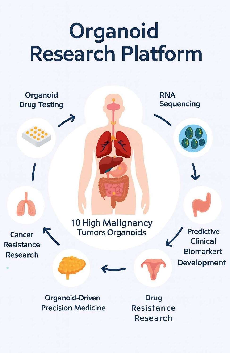 Organoid Research Platform
