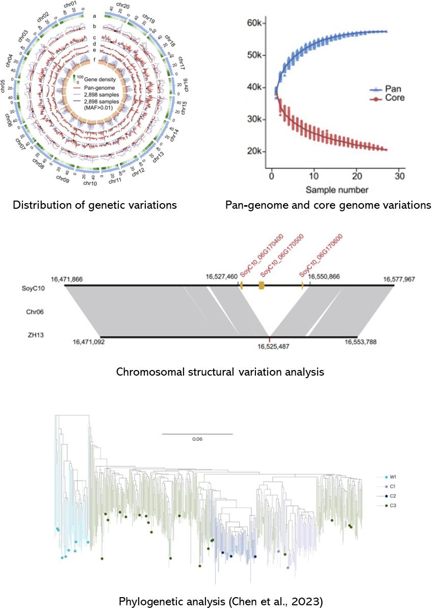 The GWAS Results Display Figure.