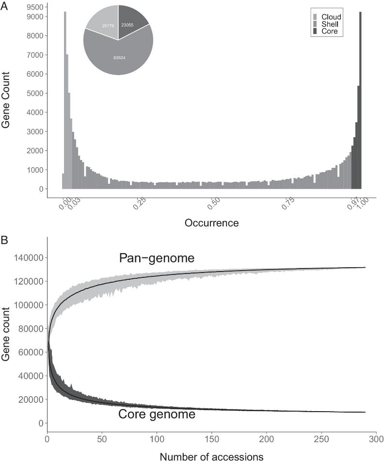 Fig 1. Pangenome of the Solanum section Petota. (Bozan et al., 2023)