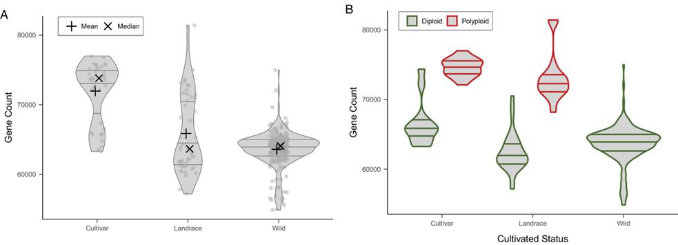 Fig 2. Gene content variation among accessions in the Solanum section Petota pangenome, based on presence/absence variation (PAV). (Bozan et al., 2023)