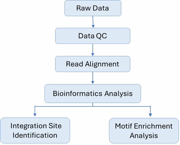 The Data Analysis Pipeline of AAV Integration Site Analysis.
