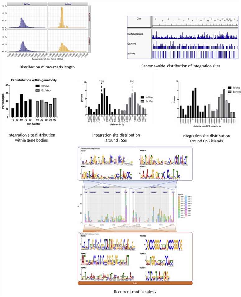 The AAV Integration Site Analysis Results Display.