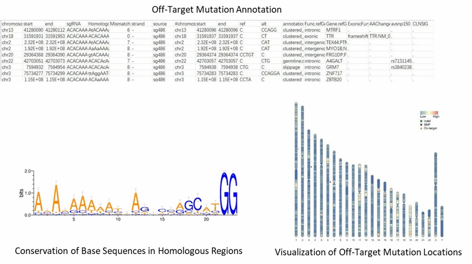 The CRISPR Off-Target Validation Results Display.