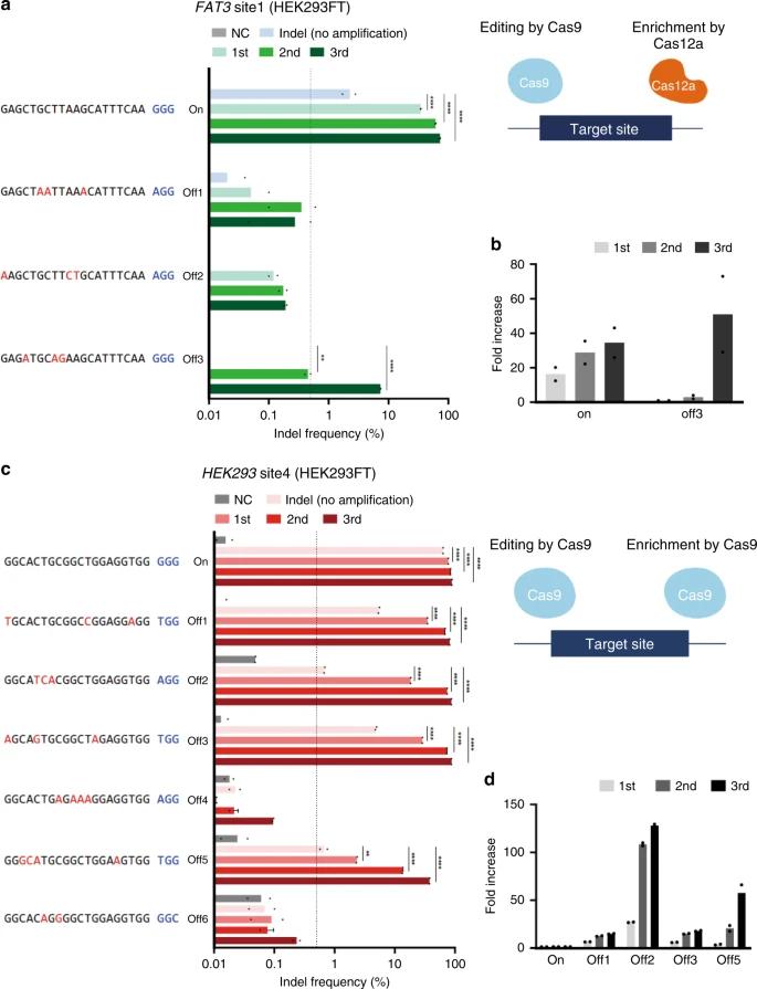 Fig. 1: Identification of off-target mutations caused by CRISPR–Cas9. (Kang et al., 2020)