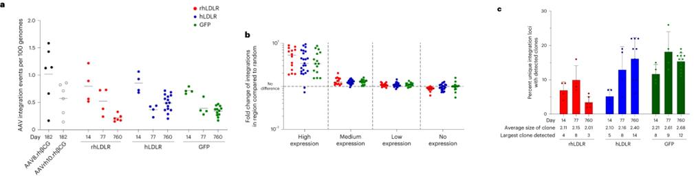 Fig. 2: Distribution of integrated vector DNA after intravenous administration of AAV vectors to NHPs. (Greig et al., 2023)