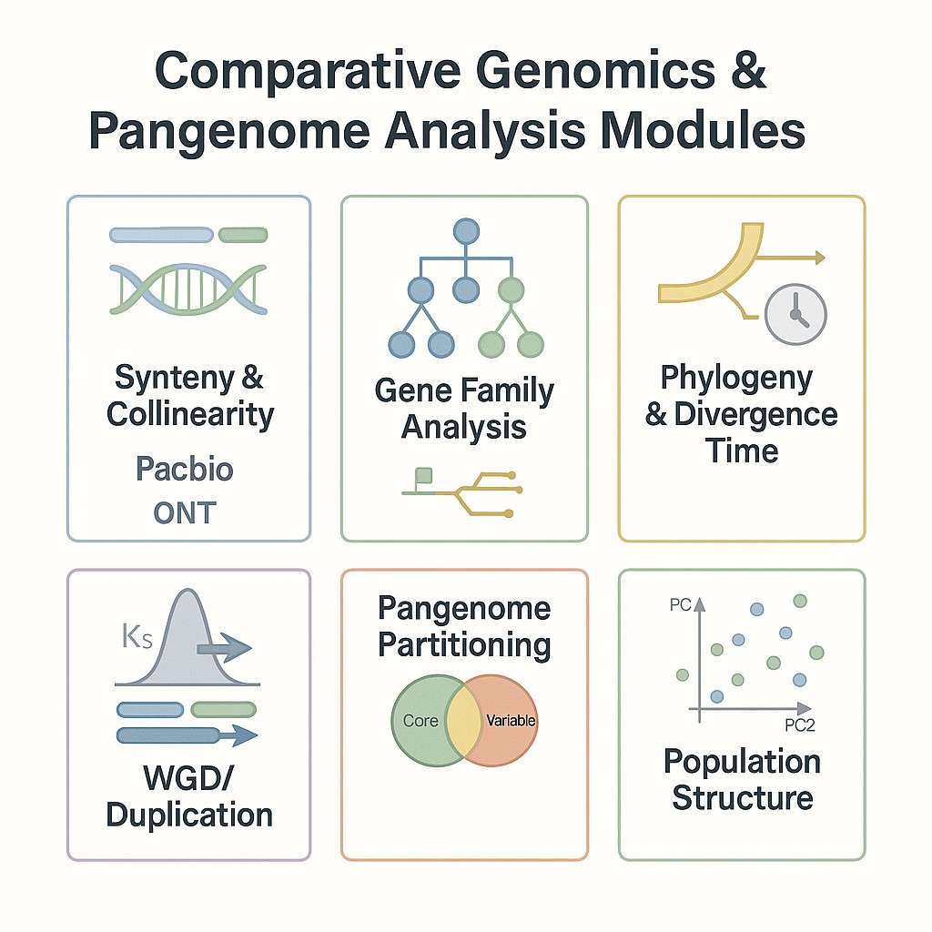 comparative, pangenome, and population analysis options in genome informatics.