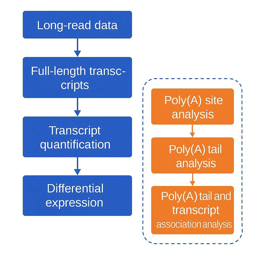 polyA Sequencing data analysis
