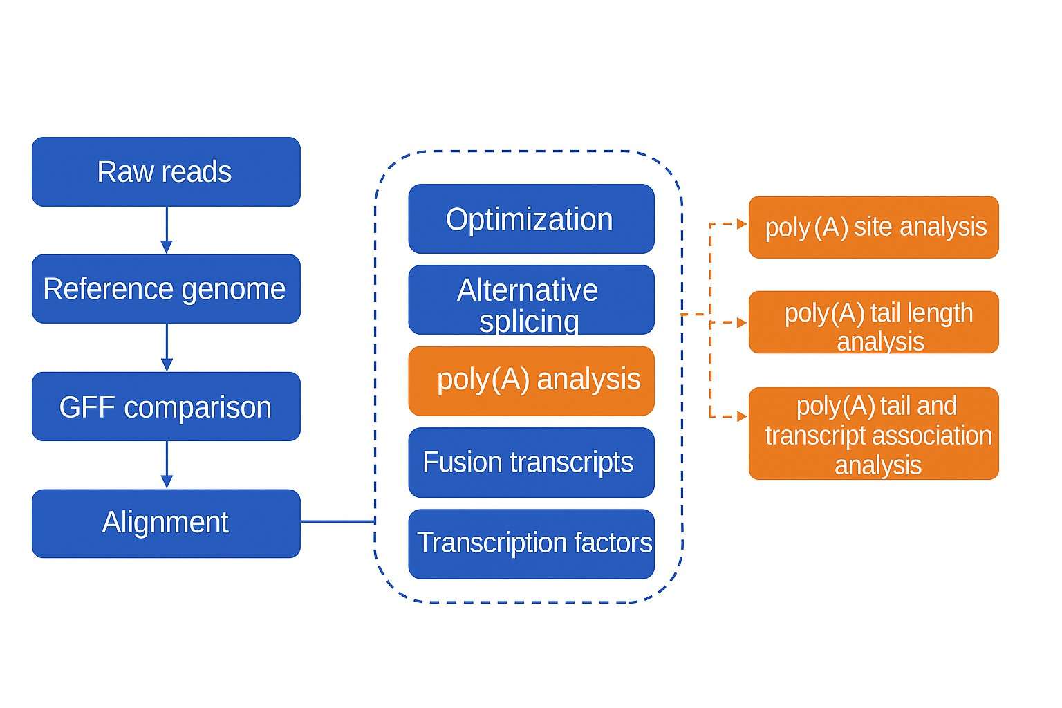 TAIL-seq data analysis