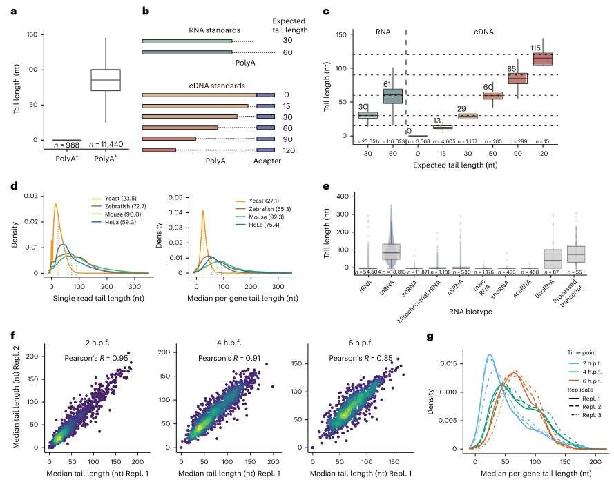 DRUG-seq Mechanistic Clustering