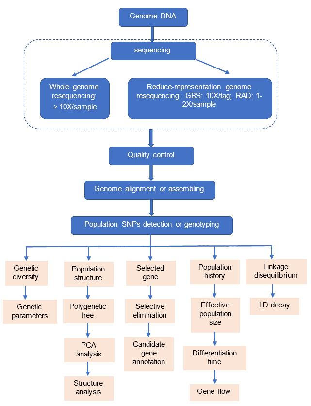 The Data Analysis Pipeline of Population Evolution.