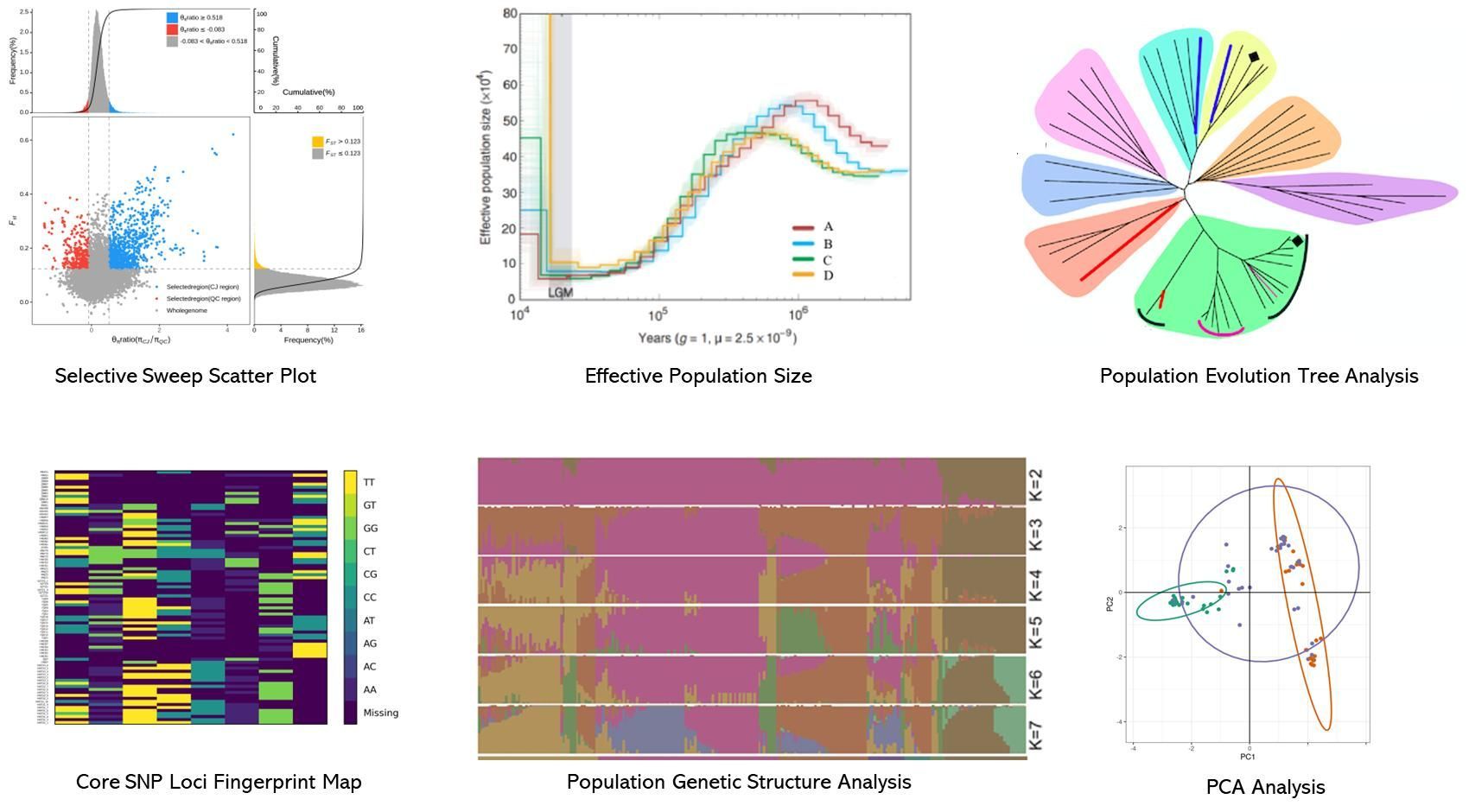 The Population Evolution Results Display Figure.