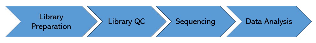 Workflow Diagram of Pre-made Library Sequencing.