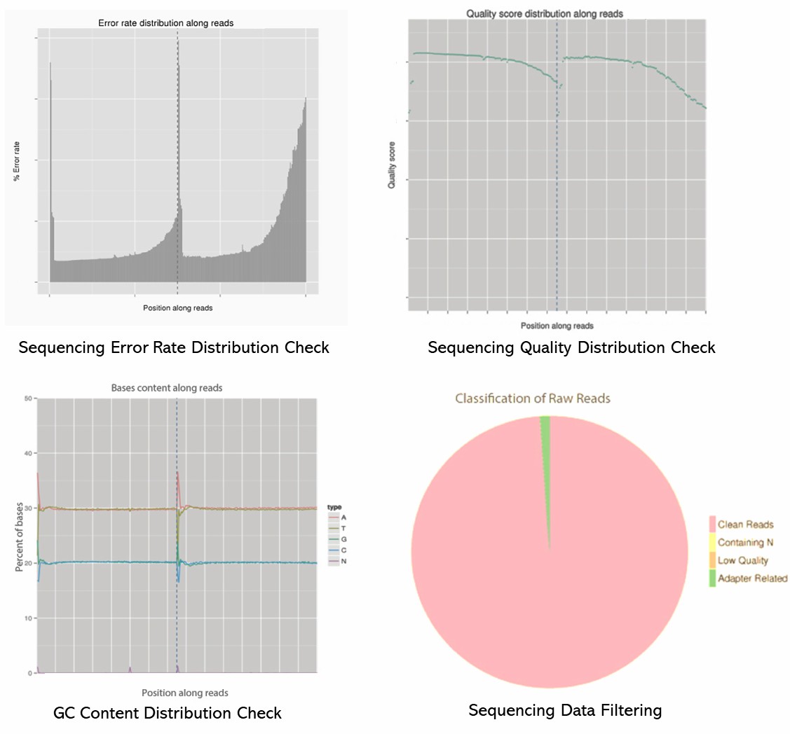 The Pre-made Library Sequencing Results Display Figure.
