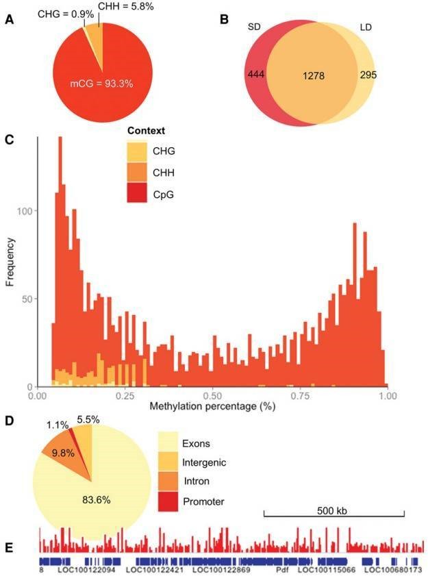 Figure 1 Analysis of Pearson correlation coefficient and PCA. (Shen et al., 2022)