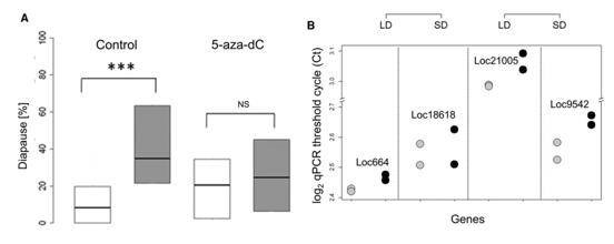 Figure 4. Pharmacological testing using 5-aza-dC. (Pegoraro et al., 2016)