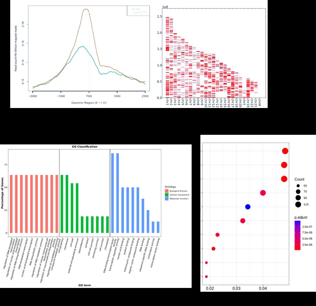 The RIP-Seq Results Display Figure.