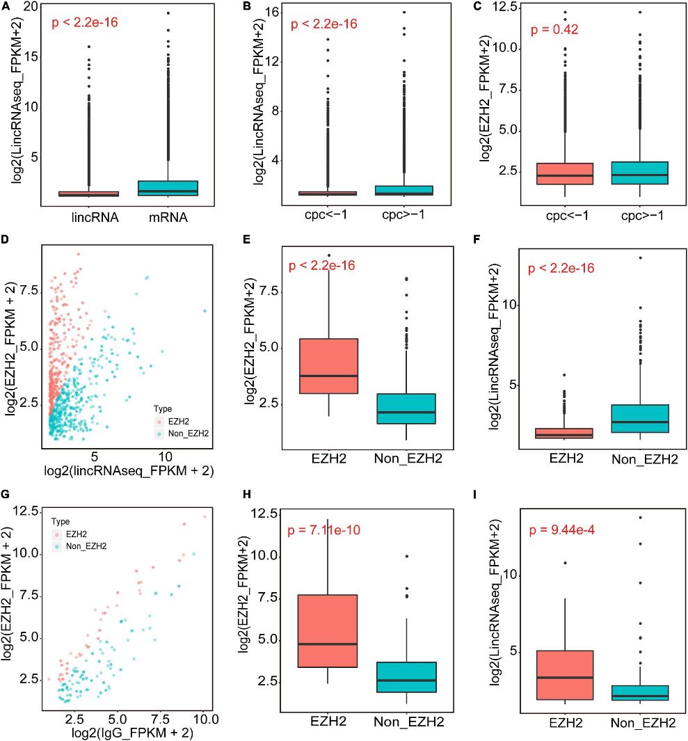 Figure 1. The identification of EZH2-binding novel lincRNAs.