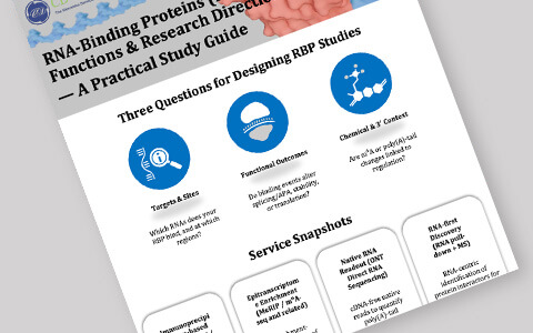 Strategien zur Untersuchung von RNA-bindenden Proteinen (RBPs)