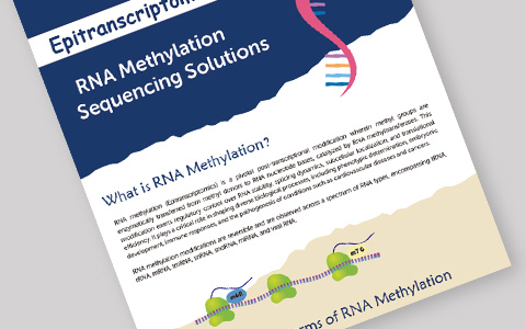 RNA Methylation Analysis