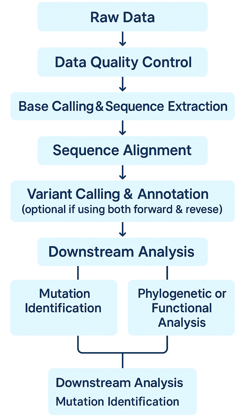 Bioinformatics analysis process for Sanger sequencing