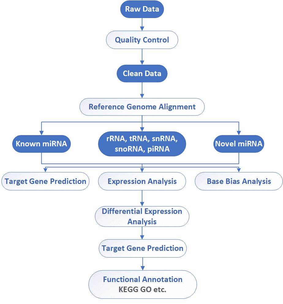The Data Analysis Pipeline of Small RNA Sequencing.
