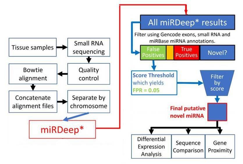 Figure 1. Flowchart illustrating the novel miRNA discovery pipeline. (Wake et al., 2016)