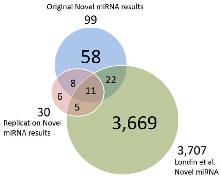 Figure 3. Comparison among putative novel miRNAs, replication data miRNAs, and Londin et al. miRNAs. (Wake et al., 2016)