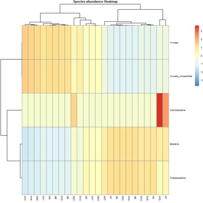 Heatmap showing species abundance across the samples.