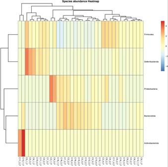 Species abundance heatmap showing sample distribution.